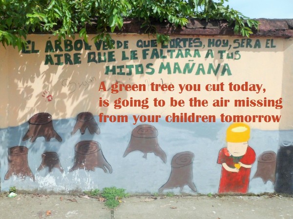 Let´s Protect the Amazon Rainforest