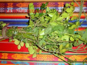 Not a Finnish saunavihta, but the herbs we used for the Colada Morada