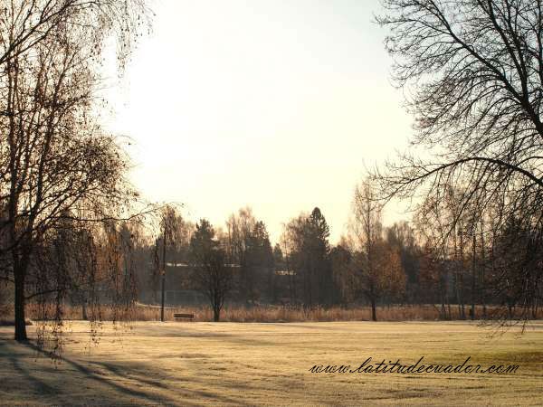Promise of a winter