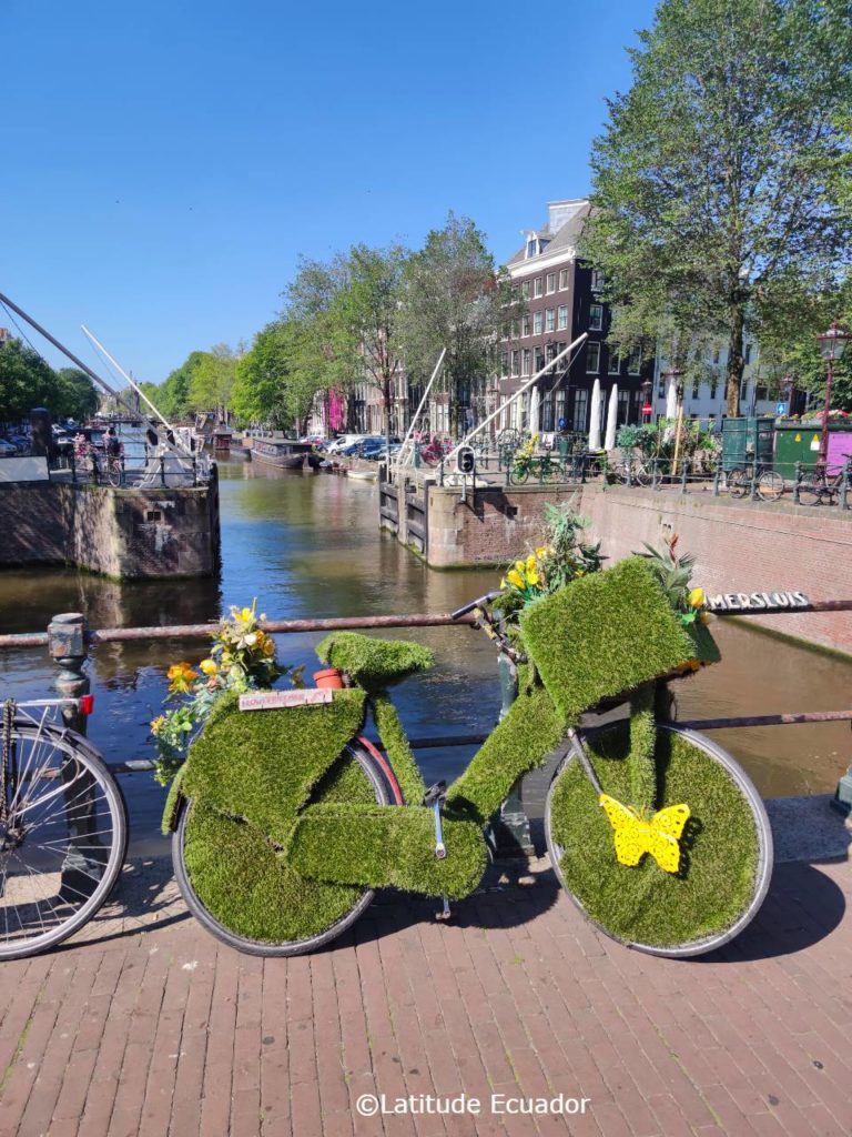 Holland canals